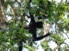 Belize 041